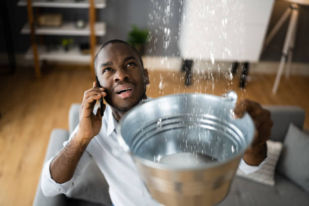 Best Water damage restoration company  in Philomath, OR