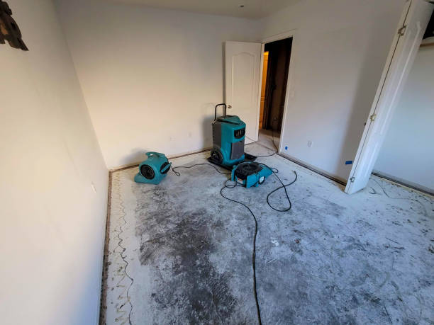 Best Fire Damage Restoration  in Philomath, OR
