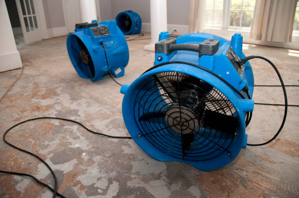 Water damage restoration process in Philomath, OR