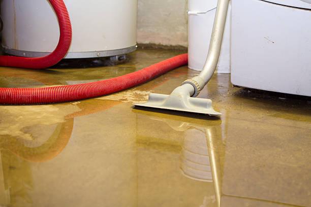  Philomath, OR Water damage restoration Pros