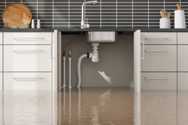 Best Flooded house restoration  in Philomath, OR