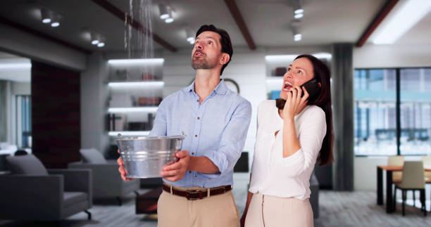 Best Water damage restoration company  in Philomath, OR